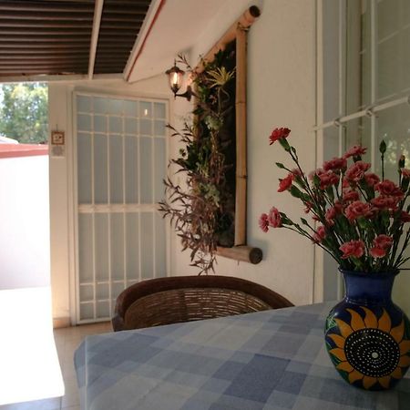 Suites La Flor Sagrada Xochitepec Exteriér fotografie