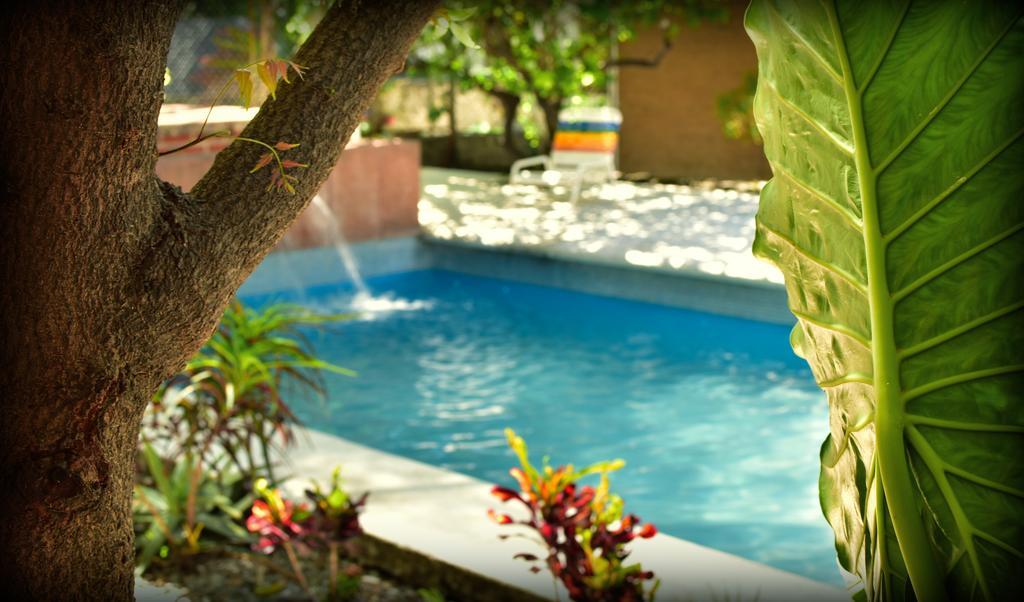 Suites La Flor Sagrada Xochitepec Exteriér fotografie